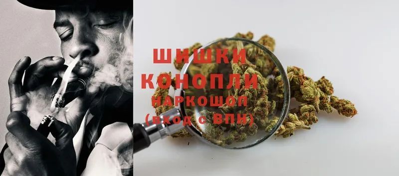 магазин продажи наркотиков  Кувшиново  Бошки Шишки SATIVA & INDICA 